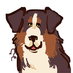 the head and shoulders of an Australian shepherd dog.